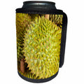 3dRose Danita Delimont - Food - Durians, Can Duoc Market, Long An Province, Mekong Delta, Vietnam - Can Cooler Bottle Wrap (cc_277050)