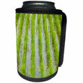 3dRose Danita Delimont - Agriculture - Rice paddy, near Tan Hoa, Tien Giang Province, Mekong Delta, Vietnam - Can Cooler Bottle Wrap (cc_277051)
