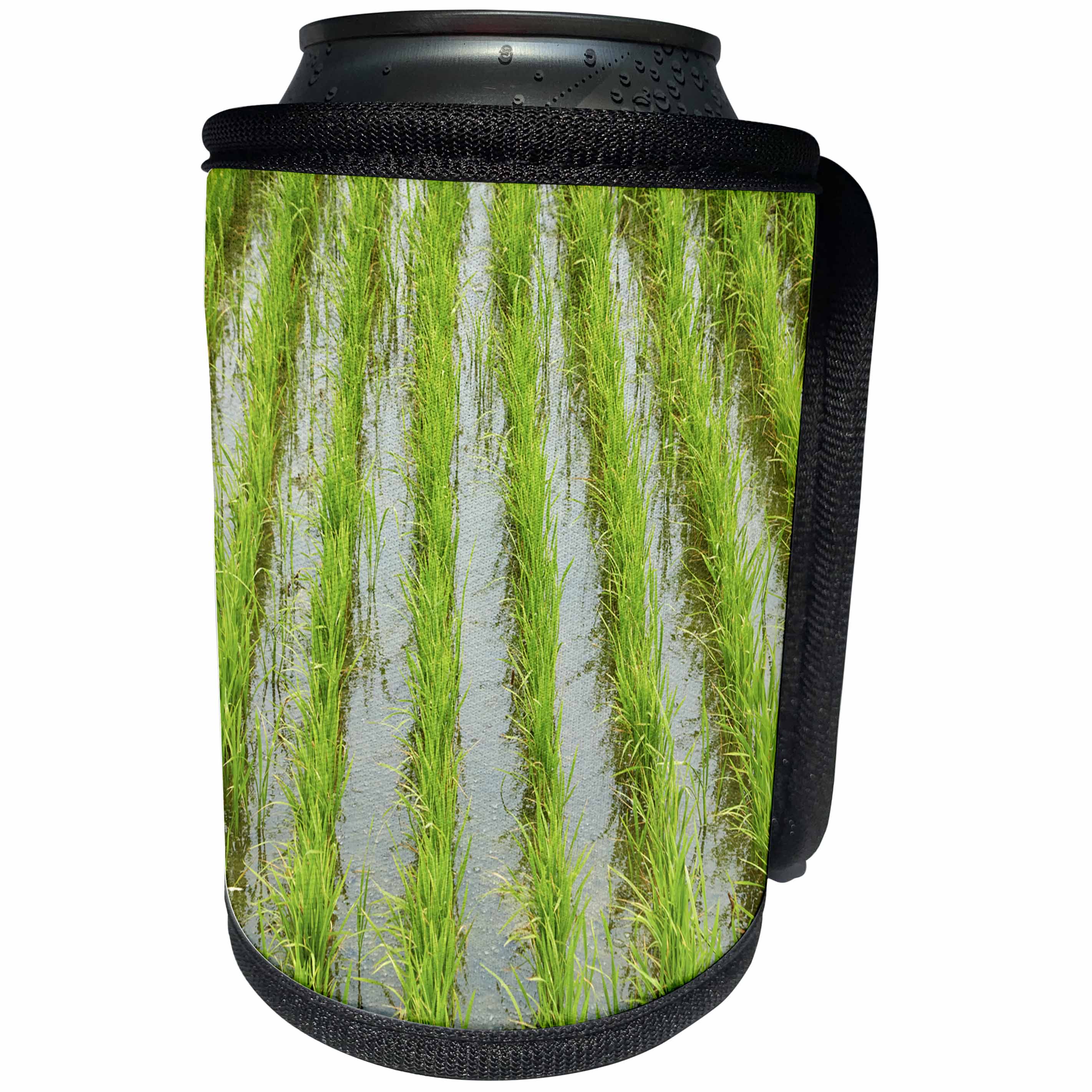 3dRose Danita Delimont - Agriculture - Rice paddy, near Tan Hoa, Tien Giang Province, Mekong Delta, Vietnam - Can Cooler Bottle Wrap (cc_277051)