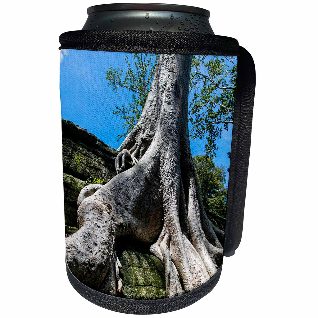 3dRose Danita Delimont - Forests - Tree engulfing a temple, Ta Prohm, Angkor, Cambodia - Can Cooler Bottle Wrap (cc_277058)