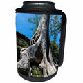 3dRose Danita Delimont - Forests - Tree engulfing a temple, Ta Prohm, Angkor, Cambodia - Can Cooler Bottle Wrap (cc_277058)