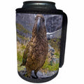 3dRose Danita Delimont - Parrots - Kea or mountain parrot, New Zealand - Can Cooler Bottle Wrap (cc_277139)