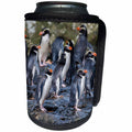 3dRose Danita Delimont - Penguins - New Zealand, Snares Islands, The Snares. Snares crested penguin. - Can Cooler Bottle Wrap (cc_277141)