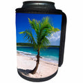 3dRose Danita Delimont - Beaches - Caribbean, Puerto Rico, Vieques. Lone coconut palm on Red Beach. - Can Cooler Bottle Wrap (cc_277165)