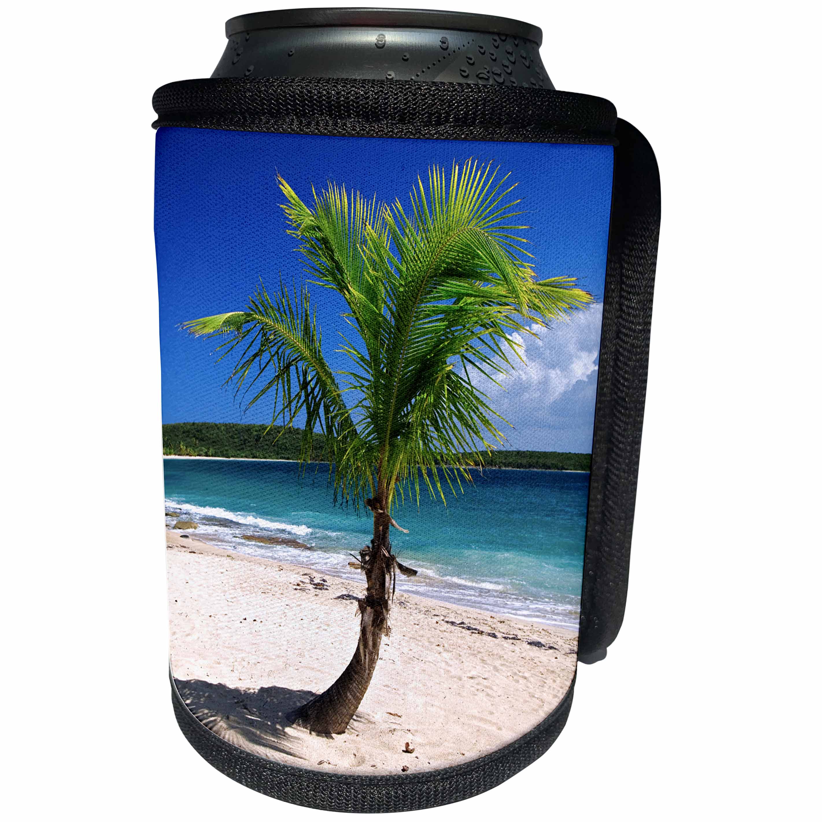 3dRose Danita Delimont - Beaches - Caribbean, Puerto Rico, Vieques. Lone coconut palm on Red Beach. - Can Cooler Bottle Wrap (cc_277165)