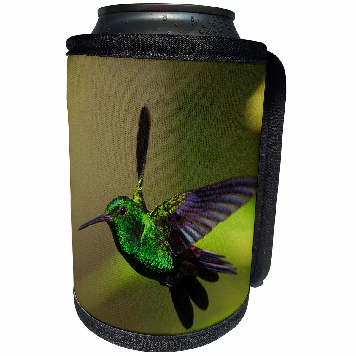 3dRose Danita Delimont - Hummingbirds - Copper rumped Hummingbird flying. - Can Cooler Bottle Wrap (cc_277172)