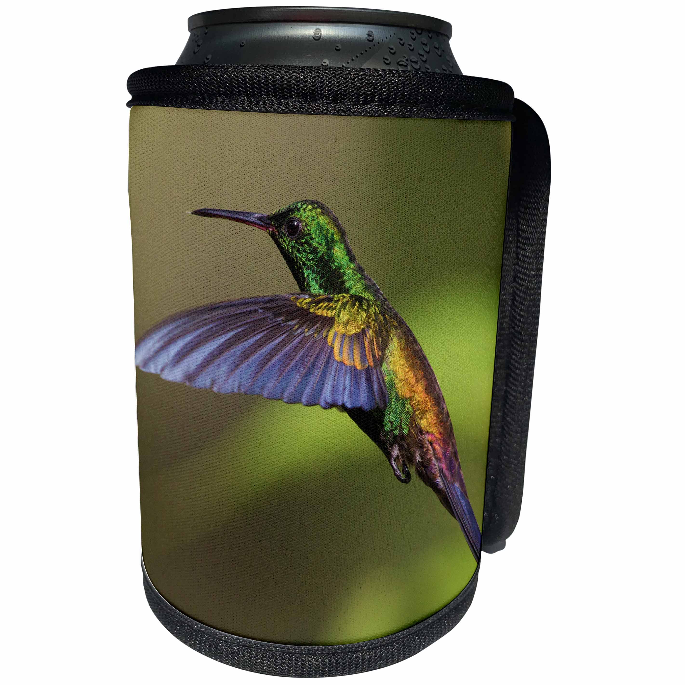 3dRose Danita Delimont - Hummingbirds - Copper rumped Hummingbird with beautiful plumage. - Can Cooler Bottle Wrap (cc_277173)
