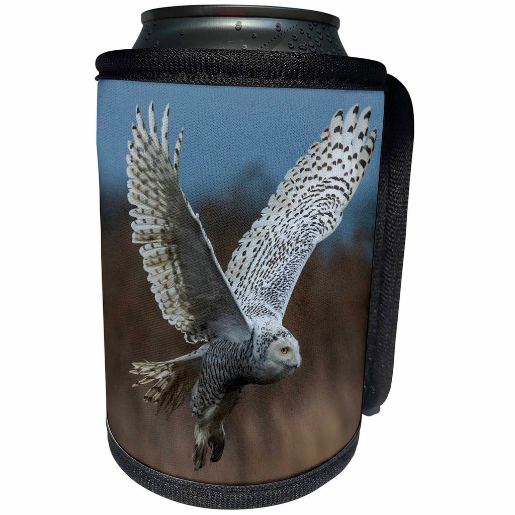 3dRose Danita Delimont - Owls - Snowy owl flying through a Bird Sanctuary, B.C., Canada - Can Cooler Bottle Wrap (cc_277189)