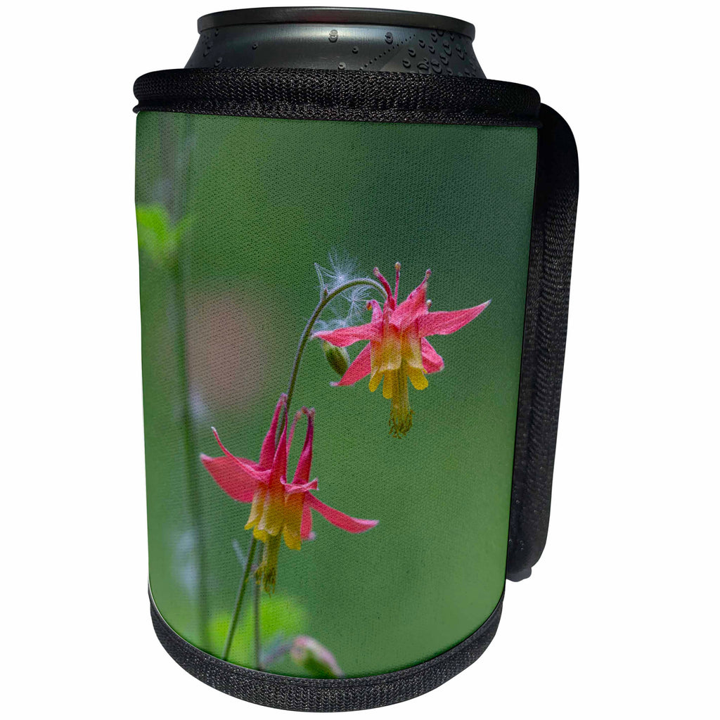 3dRose Danita Delimont - Flowers - Canada, British Columbia. Sitka columbine flower. - Can Cooler Bottle Wrap (cc_277191)