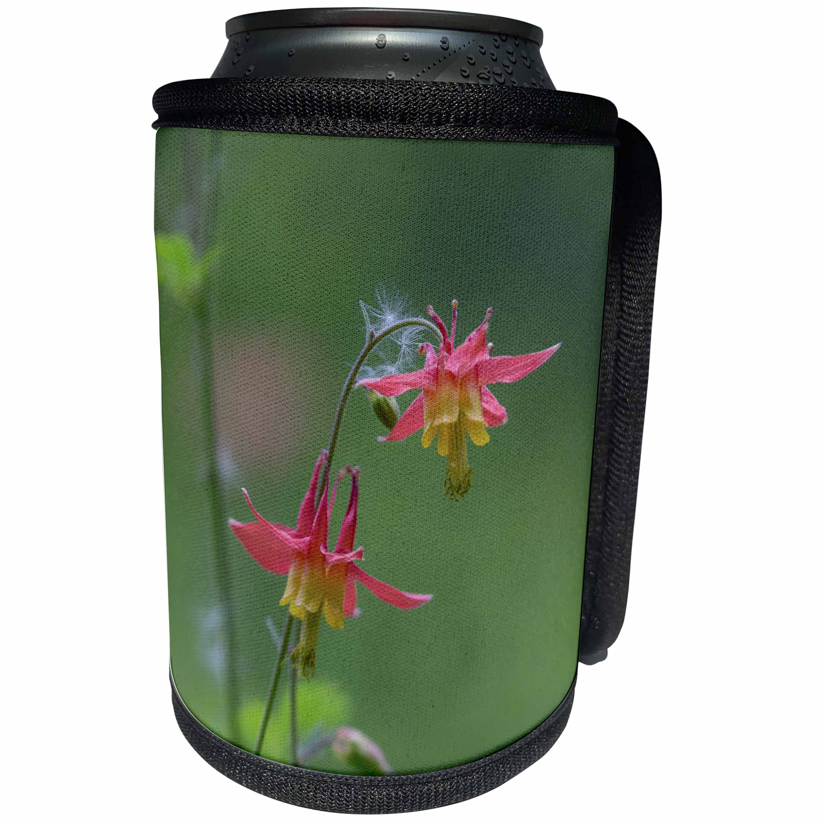 3dRose Danita Delimont - Flowers - Canada, British Columbia. Sitka columbine flower. - Can Cooler Bottle Wrap (cc_277191)