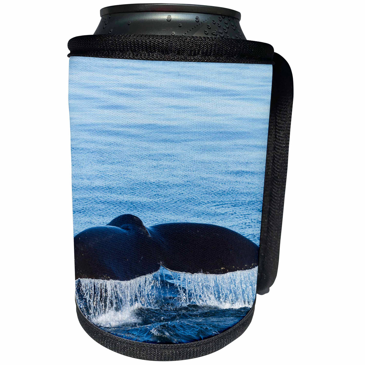 3dRose Danita Delimont - Whales - Water flows off a humpback whales tail as it dives, B.C., Canada - Can Cooler Bottle Wrap (cc_277198)