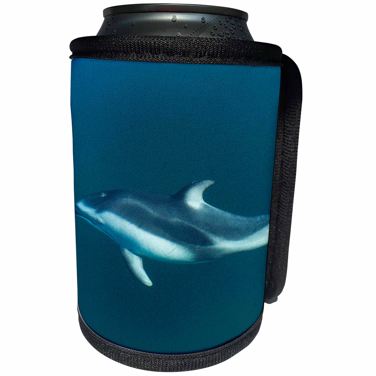 3dRose Danita Delimont - Dolphins - Canada, B.C., Pacific white sided dolphin in St. Johnstone Strait. - Can Cooler Bottle Wrap (cc_277200)
