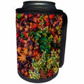 3dRose Danita Delimont - Autumn - Japanese maple leaves on ground in Nelson, British Columbia, Canada - Can Cooler Bottle Wrap (cc_277203)