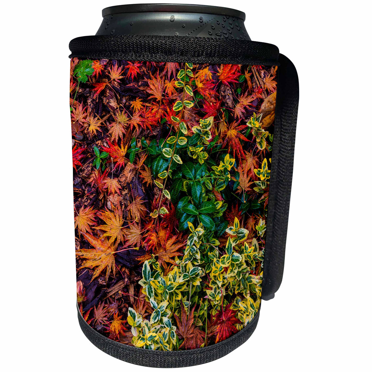 3dRose Danita Delimont - Autumn - Japanese maple leaves on ground in Nelson, British Columbia, Canada - Can Cooler Bottle Wrap (cc_277203)