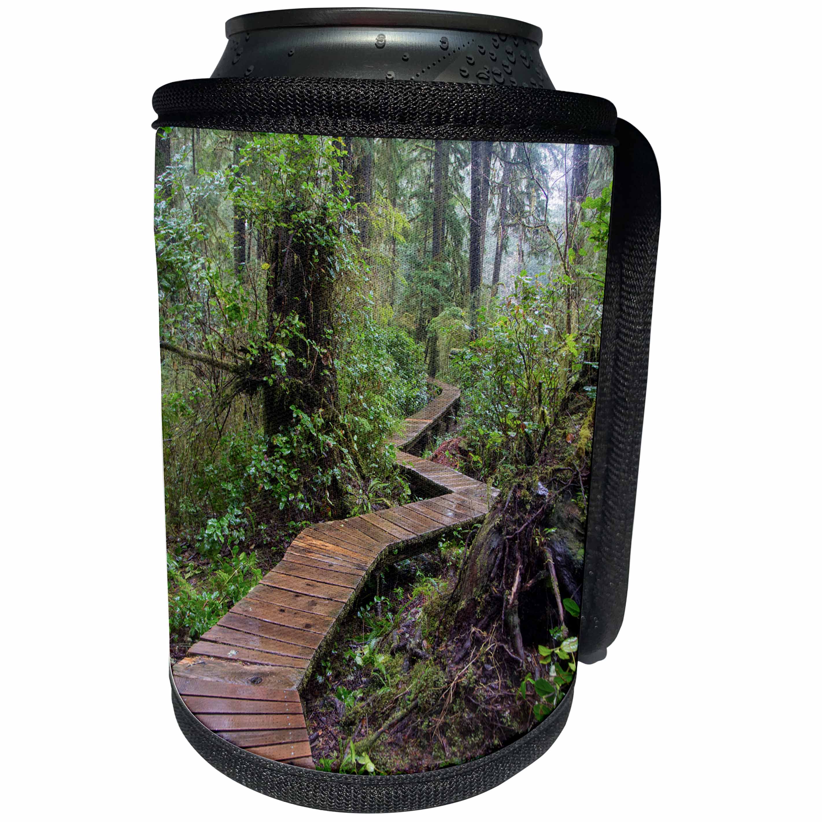 3dRose Danita Delimont - Roads - Combers Beach Trail, Pacific Rim NP, Tofino, Vancouver, B.C., Canada - Can Cooler Bottle Wrap (cc_277218)