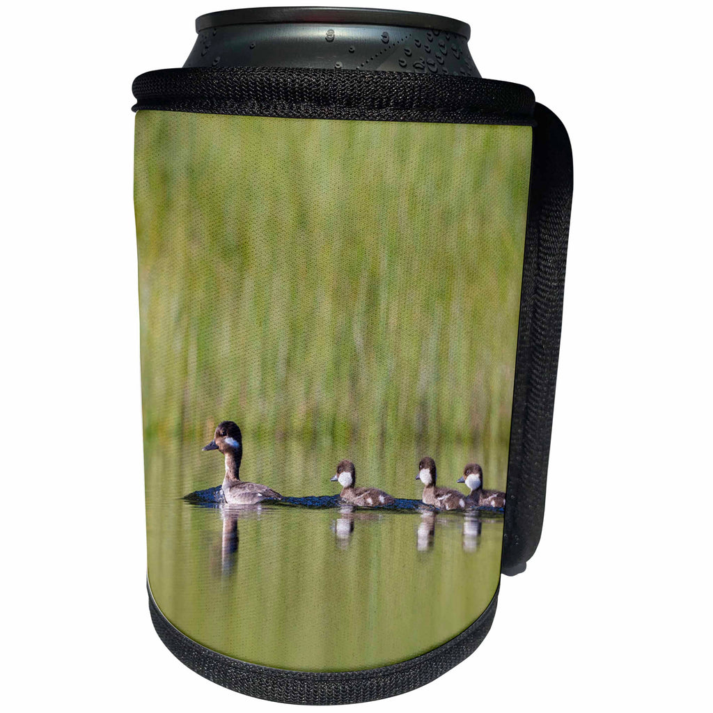 3dRose Danita Delimont - Ducks - Canada, B.C., A female Bufflehead leads her ducklings on a quiet pond. - Can Cooler Bottle Wrap (cc_277219)