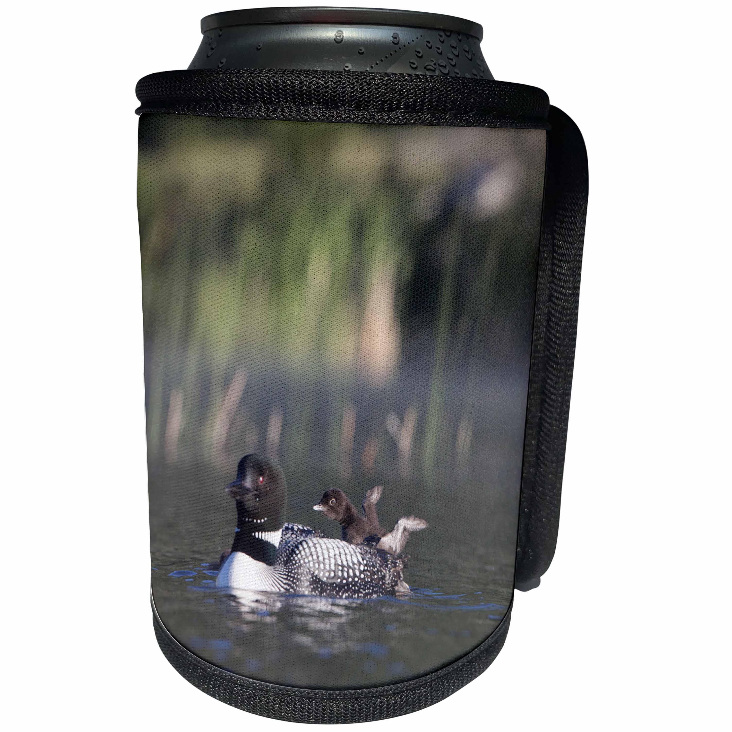 3dRose Danita Delimont - Birds - Canada, B.C., Adult Common Loon floats with a chick on its back. - Can Cooler Bottle Wrap (cc_277220)