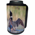 3dRose Danita Delimont - Birds - Canada, B.C., Adult Common Loon in breeding plumage flaps its wings. - Can Cooler Bottle Wrap (cc_277221)