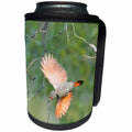 3dRose Danita Delimont - Birds - Canada, B.C., Adult male Northern Flicker flies from nest hole. - Can Cooler Bottle Wrap (cc_277223)