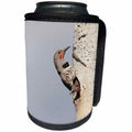 3dRose Danita Delimont - Birds - Canada, B.C., Adult male Northern Flicker at nest hole with chick. - Can Cooler Bottle Wrap (cc_277229)
