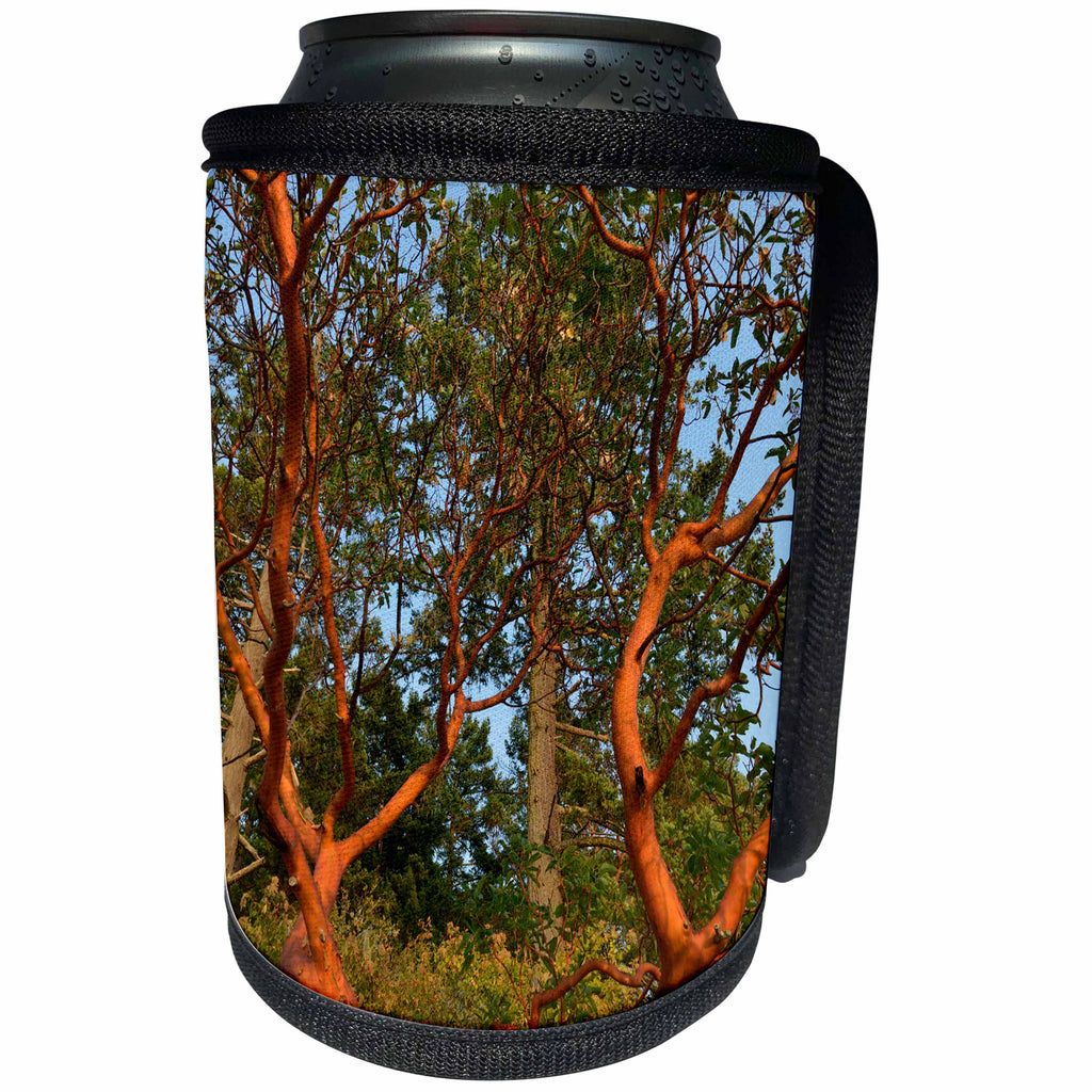 3dRose Danita Delimont - Forests - Canada, British Columbia, Russell Island. Arbutus tree. - Can Cooler Bottle Wrap (cc_277234)