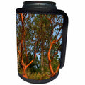 3dRose Danita Delimont - Forests - Canada, British Columbia, Russell Island. Arbutus tree. - Can Cooler Bottle Wrap (cc_277234)