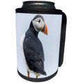 3dRose Danita Delimont - Birds - Atlantic Puffin in A Puffinry On Mykines, Faroe Islands, Denmark - Can Cooler Bottle Wrap (cc_277347)