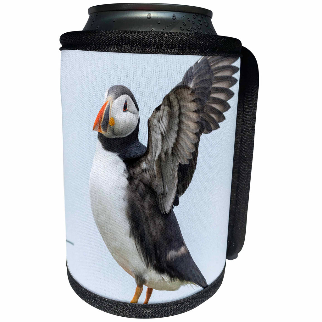 3dRose Danita Delimont - Birds - Atlantic Puffin stretches, Mykines, Faroe Islands, Denmark - Can Cooler Bottle Wrap (cc_277348)