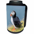 3dRose Danita Delimont - Birds - Atlantic Puffin look over a cliff on Mykines, Faroe Islands. Denmark - Can Cooler Bottle Wrap (cc_277351)