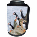 3dRose Danita Delimont - Birds - Group of Atlantic Puffins On Mykines, Faroe Islands, Denmark - Can Cooler Bottle Wrap (cc_277355)