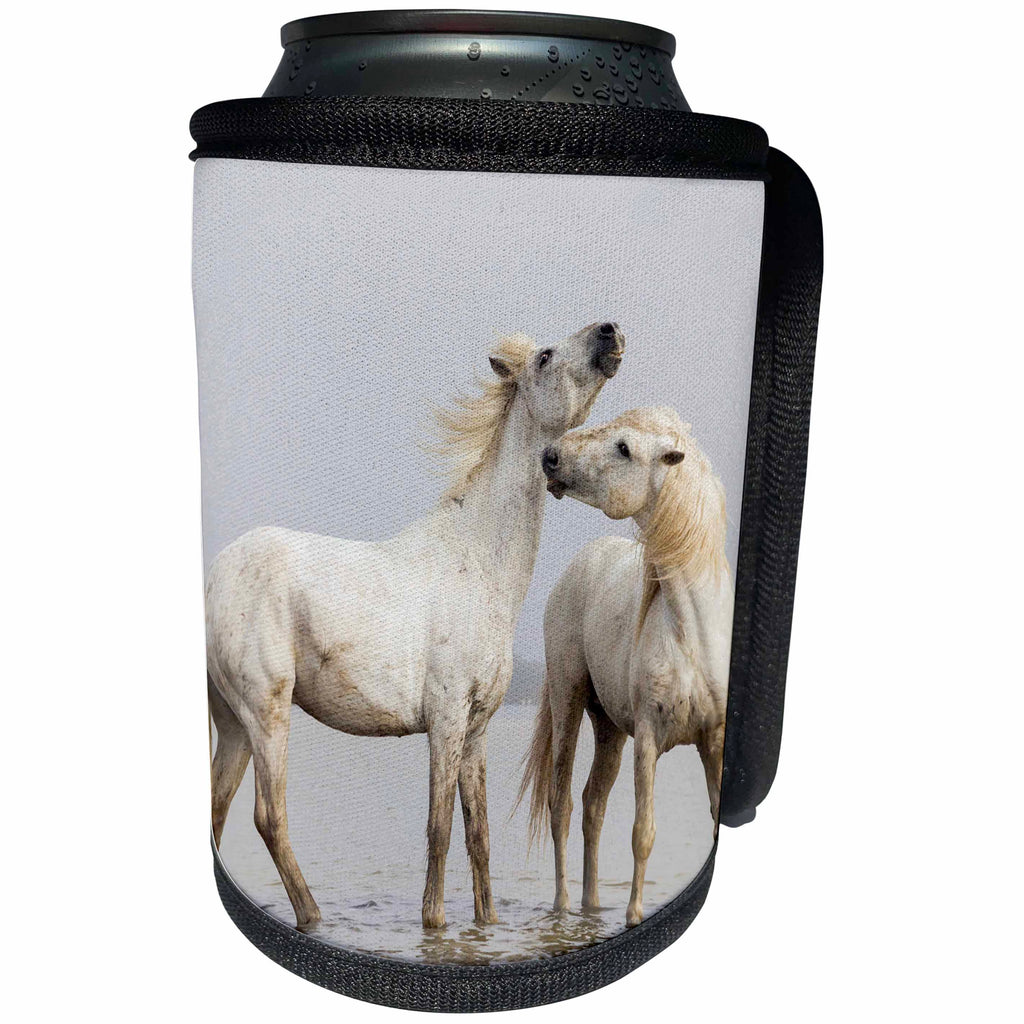 3dRose Danita Delimont - Horses - France, The Camargue, Two Camargue stallions interacting. - Can Cooler Bottle Wrap (cc_277371)