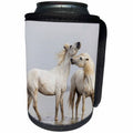 3dRose Danita Delimont - Horses - France, The Camargue, Two Camargue stallions interacting. - Can Cooler Bottle Wrap (cc_277371)