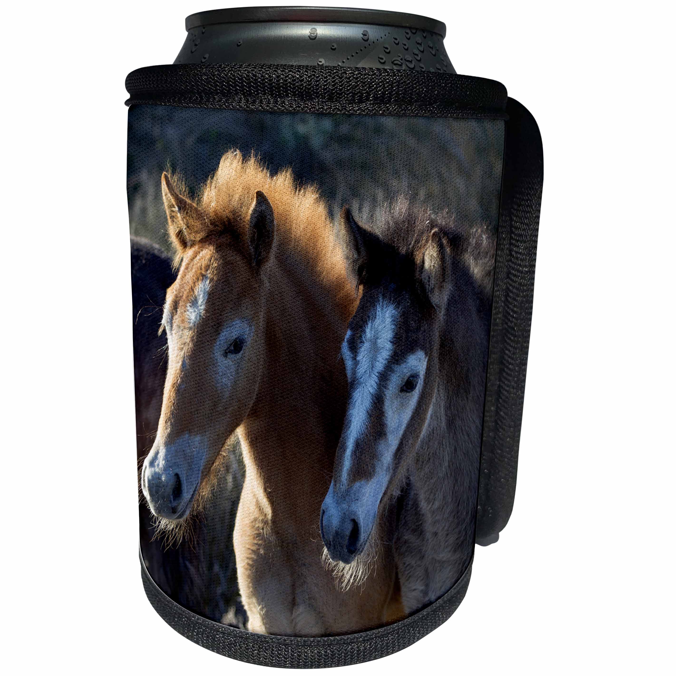 3dRose Danita Delimont - Babu animals - France, The Camargue, Saintes Maries de la Mer. Young Camargue horses. - Can Cooler Bottle Wrap (cc_277374)