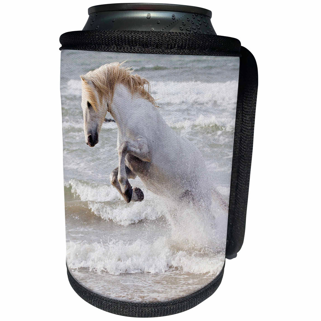 3dRose Danita Delimont - Horses - France, The Camargue. Camargue horse in the Mediterranean Sea. - Can Cooler Bottle Wrap (cc_277380)