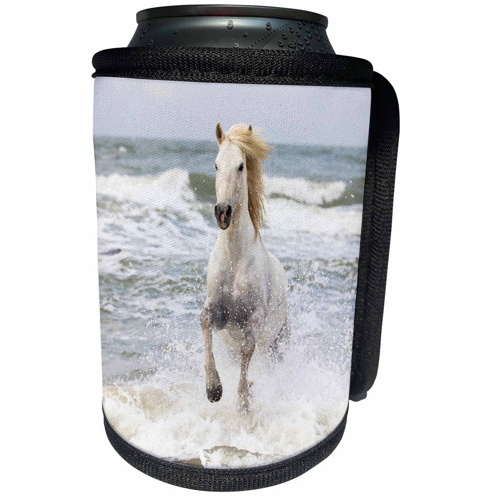 3dRose Danita Delimont - Horses - France, The Camargue, Camargue horse in the surf of the Mediterranean. - Can Cooler Bottle Wrap (cc_277382)