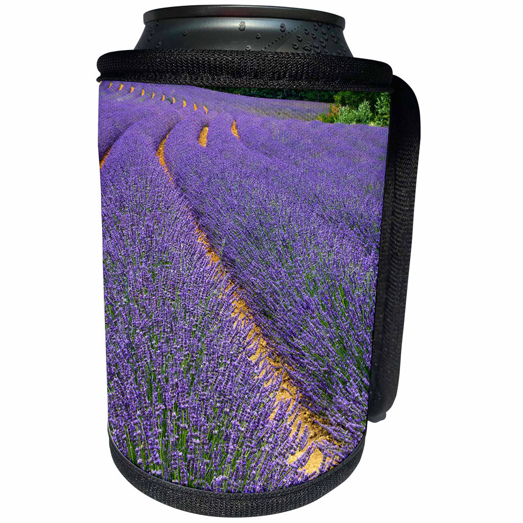 3dRose Danita Delimont - Agriculture - France, Provence, Roussillon, lavender - Can Cooler Bottle Wrap (cc_277385)