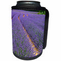 3dRose Danita Delimont - Agriculture - France, Provence, Roussillon, lavender - Can Cooler Bottle Wrap (cc_277385)