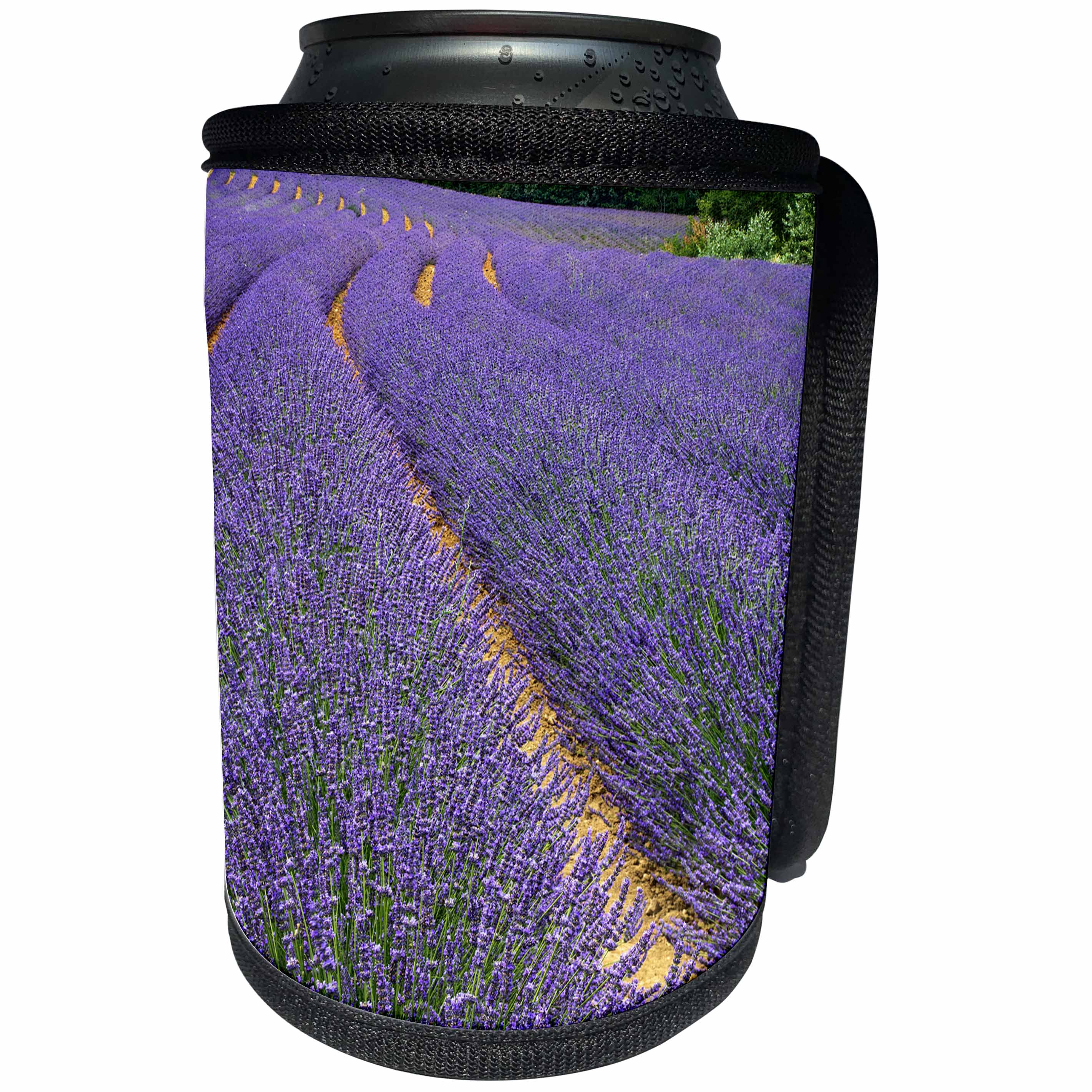 3dRose Danita Delimont - Agriculture - France, Provence, Roussillon, lavender - Can Cooler Bottle Wrap (cc_277385)