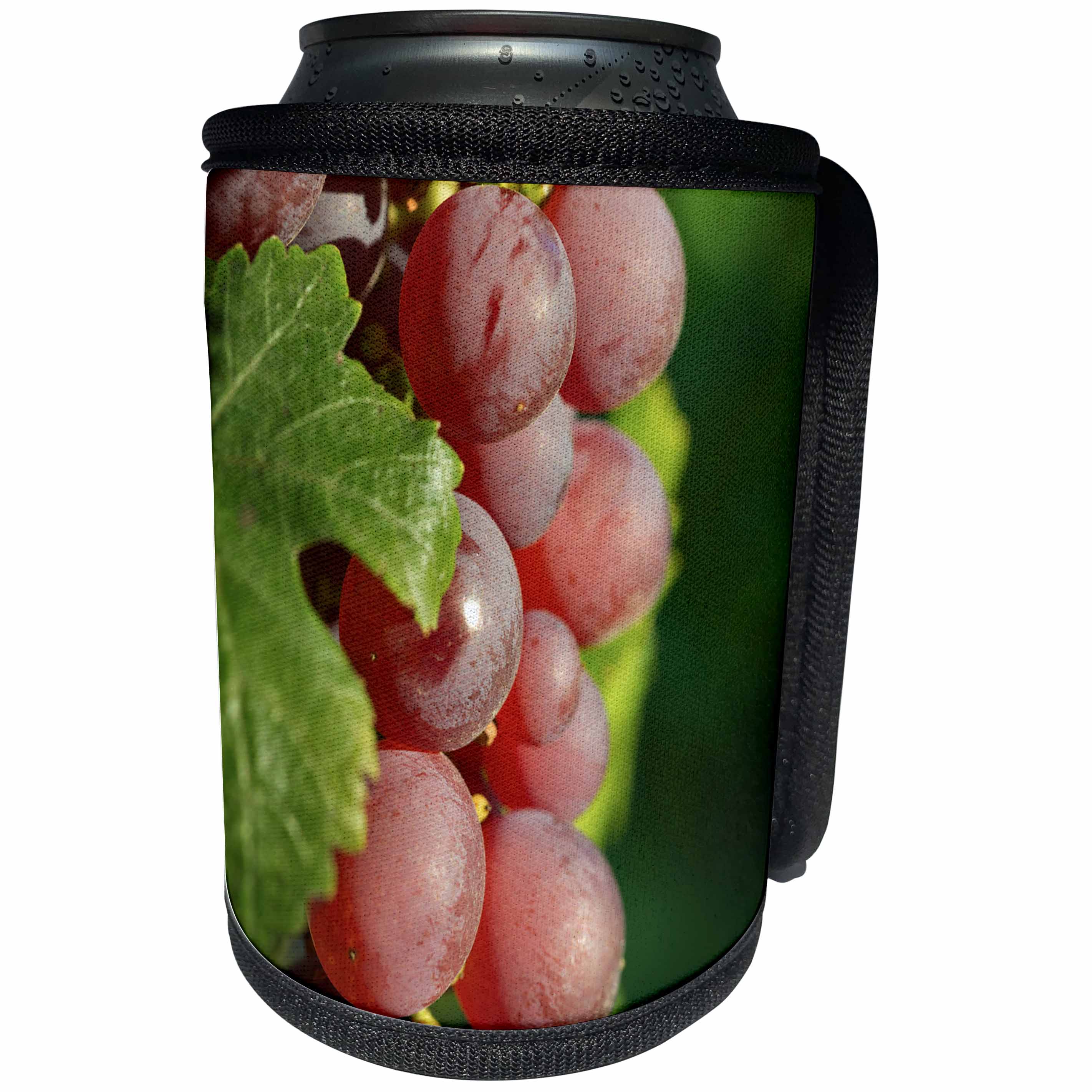 3dRose Danita Delimont - Vineyards - France, Alsace, Eguisheim. A bunch of Gewurztraminer grapes. - Can Cooler Bottle Wrap (cc_277390)