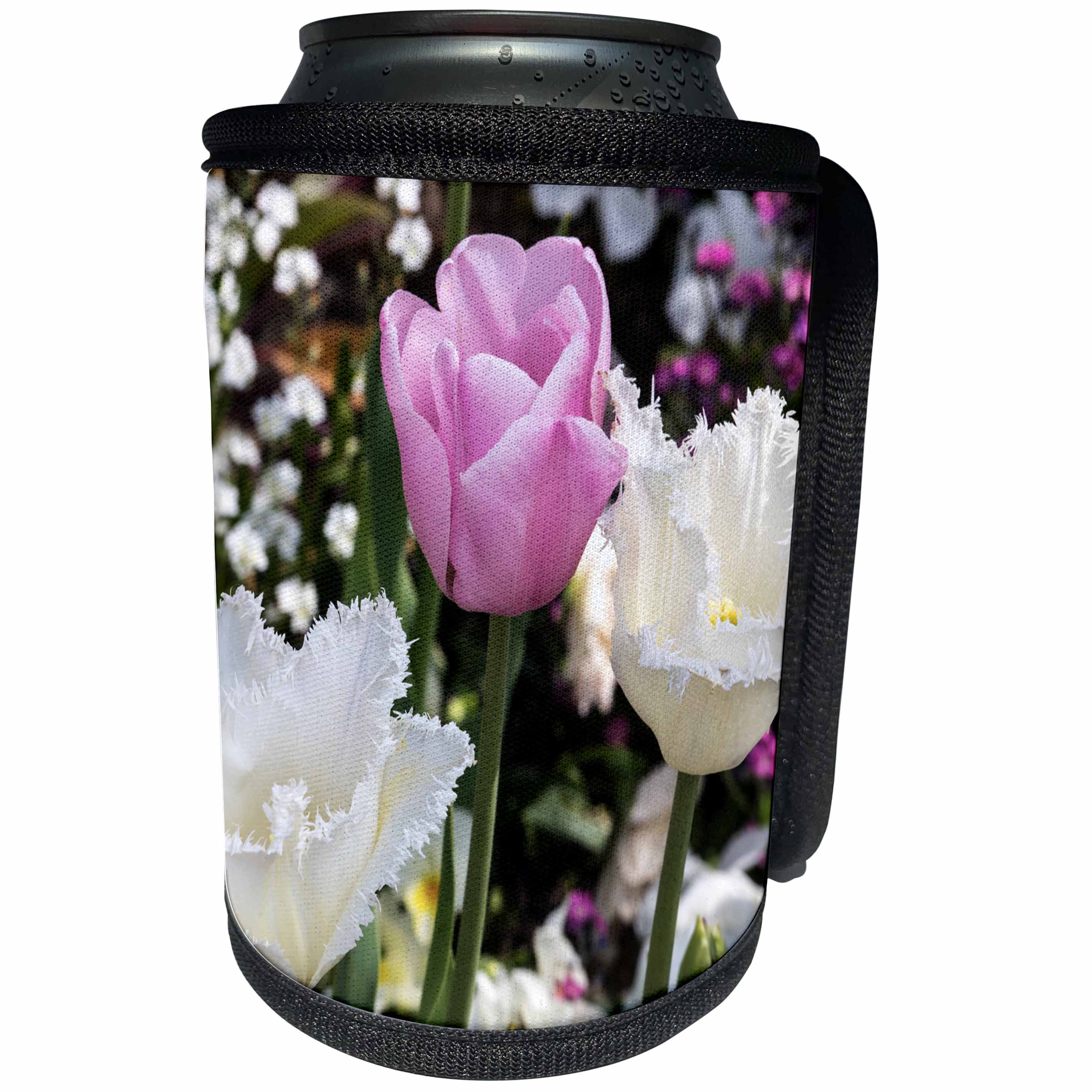 3dRose Danita Delimont - Flowers - Germany, Freinsheim, Flowers, Two Whites and a Pink - Can Cooler Bottle Wrap (cc_277393)
