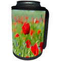 3dRose Danita Delimont - Flowers - Poppy flowers, Usedomer Schweiz, Usedom island. Germany - Can Cooler Bottle Wrap (cc_277416)