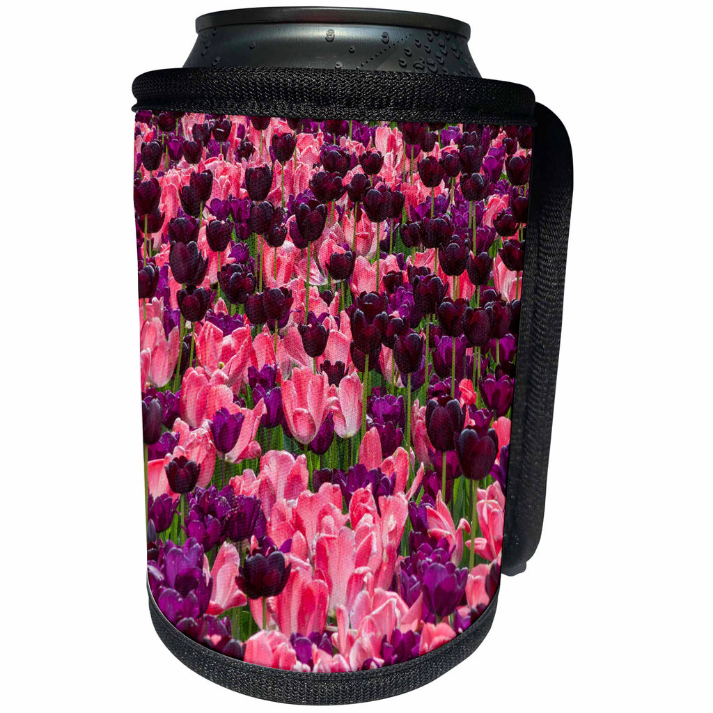3dRose Danita Delimont - Flowers - Tulips. Koblenz, Germany. - Can Cooler Bottle Wrap (cc_277423)