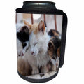 3dRose Danita Delimont - Acts - Greece, Santorini, feral cats greeting eachother. - Can Cooler Bottle Wrap (cc_277426)