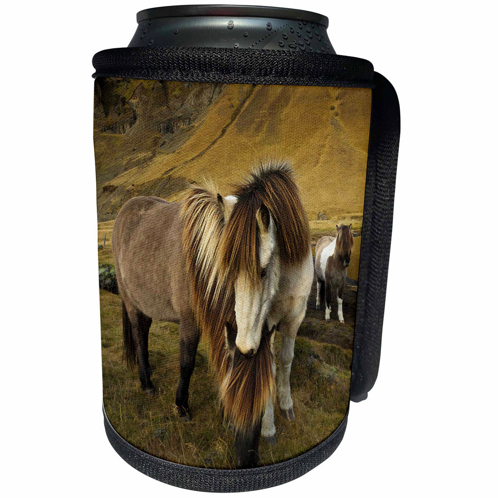 3dRose Danita Delimont - Horses - Icelandic horses nuzzling, Iceland - Can Cooler Bottle Wrap (cc_277469)