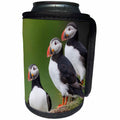 3dRose Danita Delimont - Birds - Iceland, Westfjords, A group of Atlantic puffins on a steep hillside. - Can Cooler Bottle Wrap (cc_277480)