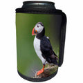 3dRose Danita Delimont - Birds - Iceland, Westfjords, Atlantic puffin looking over a grassy hillside. - Can Cooler Bottle Wrap (cc_277481)