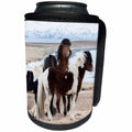 3dRose Danita Delimont - Horses - Europe, North Iceland, Akureyri. Small herd of Icelandic horses. - Can Cooler Bottle Wrap (cc_277483)