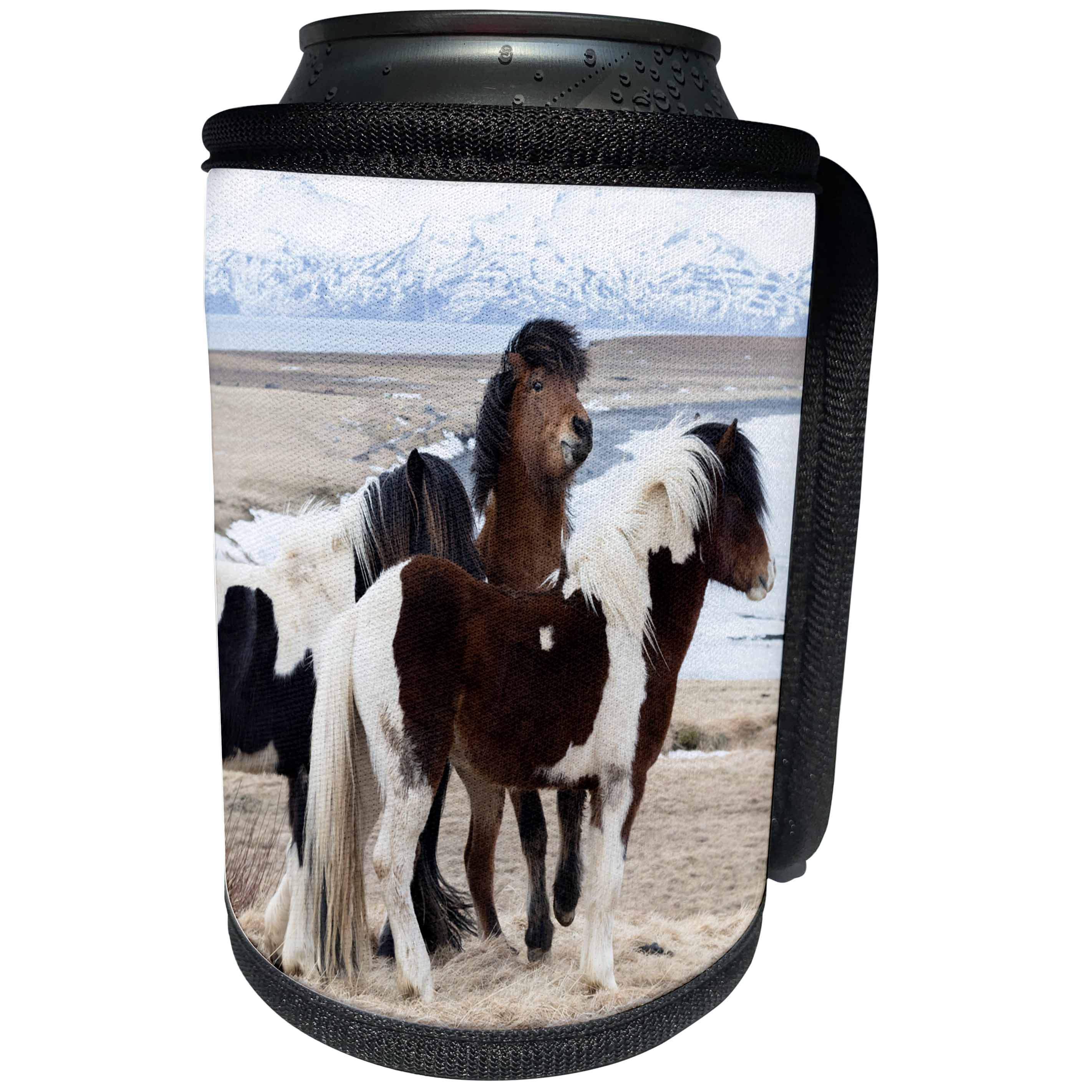 3dRose Danita Delimont - Horses - Europe, North Iceland, Akureyri. Small herd of Icelandic horses. - Can Cooler Bottle Wrap (cc_277483)