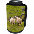 3dRose Danita Delimont - Sheep - Iceland, Icelandic sheep are commonly seen in the green pastures. - Can Cooler Bottle Wrap (cc_277493)