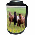 3dRose Danita Delimont - Horses - Europe, Iceland, Icelandic horses enjoy a wildflower strewn field. - Can Cooler Bottle Wrap (cc_277494)